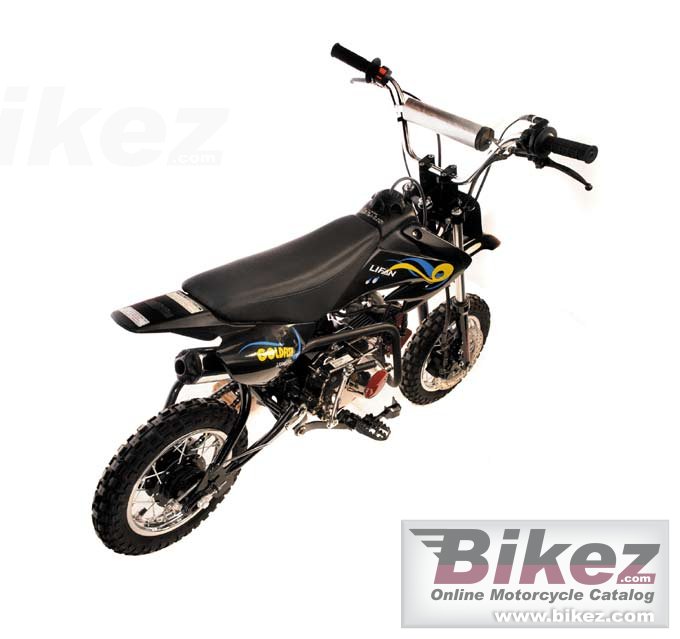 Big Lifan goldfish 50 picture and wallpaper from Bikez.com